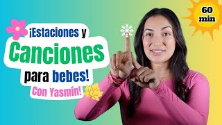 Spanish baby learning  Español para bebés  Señorita Yasmín  Sign language seasons amp songs [upl. by Charmine351]