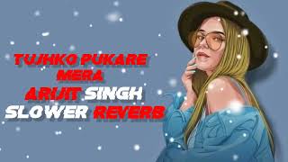 Tujhko Pukare Mere  Trending lofi songs 2024  New sad songs  Slower Reverb lofi songs [upl. by Thormora]