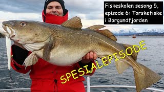 SPESIALEPISODE Fiskeskolen sesong 5 episode 6 Torskefiske i Borgundfjorden [upl. by Novyar]