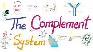 The Complement System  The most COMPREHENSIVE Explanation [upl. by Friedly]