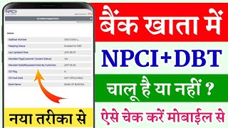 Bank Aadhar DBT Link Status Check  DBT NPCI Status Check Online  bank account addhar link status [upl. by Aciraj]