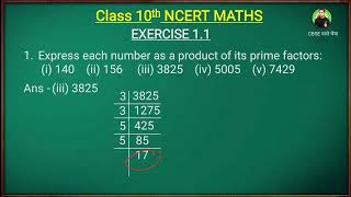 Class 10 Maths Ex 11 q1  Real Numbers Class 10  Maths Class 10 ex 11  Green board  Exphub [upl. by Waterer567]