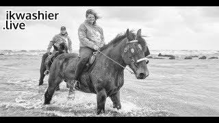 Belgische trekpaarden aan zee  ikwashierlive in KnokkeHeist  Belgian Draft Horses at sea [upl. by Lesly912]