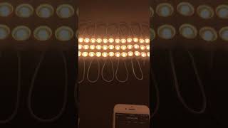 Tunable White LED Module String Lights  superlightingled [upl. by Ezequiel]