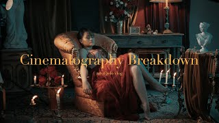 Cinematography Breakdown Vlog 1 [upl. by Nnylatsirk251]