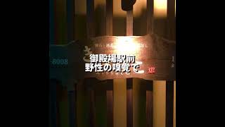 【御殿場グルメ】絶品グルメ 絶品和食 御殿場駅正面の飲食店が並ぶ通沿いにある素晴らしい地元の和食 [upl. by Yleen]