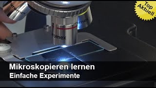 Mikroskopieren lernen  Einfache Experimente  Trailer MedienLB [upl. by Acacia447]