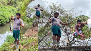 Epic Tarpon bush catch n cook [upl. by Nairrad276]