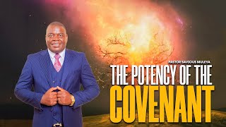 POWERFUL SERMONETTE The Potency Of The Covenant  Pastor Savious Muleya [upl. by Amargo35]