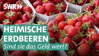 Erdbeeren – sind die teuren deutschen wirklich besser  Marktcheck SWR [upl. by Midian]