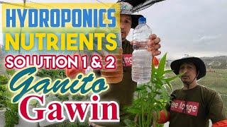 Gumawa ng sariling Low Cost Hydroponics Nutrients Solution  DIY Hydroponics Nutrients Version 2 [upl. by Yasdnyl]