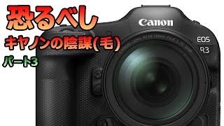 キヤノン CANON ミラーレス 【カメラ雑談】恐るべし キャノンの陰毛謀 その3 [upl. by Dielu]