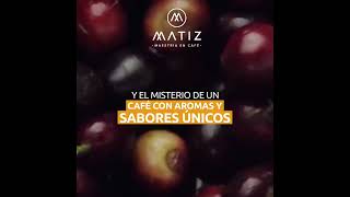 Descubre el misterio de Café Matiz [upl. by Leoj]