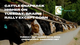 Cattle Futures Snapback Higher on Tuesday [upl. by Atilemrac]