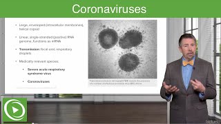 Severe Acute Respiratory Syndrome SARS and COVID19 – Coronaviruses  Lecturio [upl. by Eelibuj]