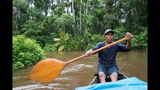 Reserva nacional Pacaya Samiria  Amazonas  Peru [upl. by Anairol]