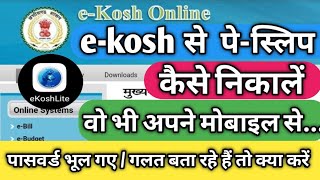 E kosh से सैलरी स्लिप कैसे निकाले  e kosh se salary slip kaise nikale  kc sir ki classes [upl. by Cleti]