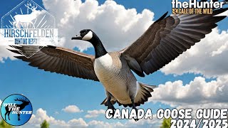 Hirschfelden Canada Goose Guide  TheHunter Call Of The Wild 2425 [upl. by Stulin436]