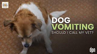 Dog Vomiting Should I Call My Vet  Dr Nancy Reese Deep Dive [upl. by Aynnat]