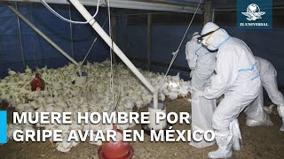 Registran primer muerte por gripe aviar H5N2 en México [upl. by Phedra]