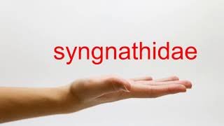 How to Pronounce syngnathidae  American English [upl. by Scott]