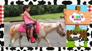 Brincando Passeio Pequeno Ponei My little Pony Rosa Animal Videos animal sounds animais da fazenda [upl. by Navoj835]