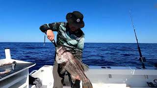 Boat fishing from Mindarie Marina [upl. by Copeland]