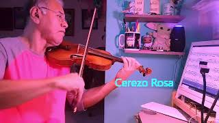 Cerezo Rosa  Violín José María Melgar [upl. by Rodina346]