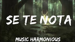 Lele Pons amp Guaynaa  Se Te Nota LetraLyrics  Music is Lyrics [upl. by Sansen491]