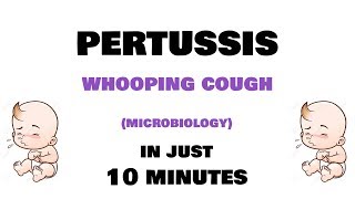 Pertussis  Microbiology Bordetella pertussis  clinical features investigations treatment [upl. by Ardnuaek]