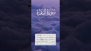 سورةالبقرةأحمدسعيدكسابقران quran allah قرانislamgod holybookislamic jannahfaith love [upl. by Robyn711]