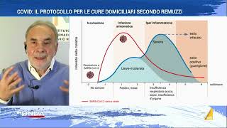 Covid Remuzzi quotCure domiciliari non sono alternative al vaccinoquot [upl. by Murry738]