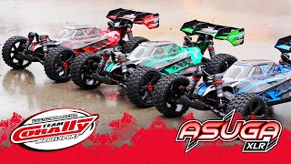 TEAM CORALLY ASUGA XLR  EXTRALARGE BASH BUGGY  Presentation [upl. by Yelloh968]