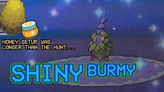 578  One of my fastest hunts EVER LIVE Shiny Burmy after ONLY 36 SRs in Platinum [upl. by Nalloh500]