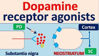 Dopamine receptor agonists for Parkinson Disease PD [upl. by Narad]