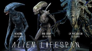 Lifespan and Oldest Ever Xenomorph Specimens [upl. by Nohsyt]