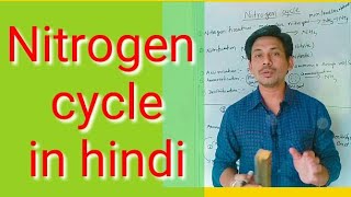 Nitrogen cycle nitrogen cycle in hindi [upl. by Lyred]