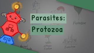 Parasites Protozoa classification structure life cycle [upl. by Natal86]