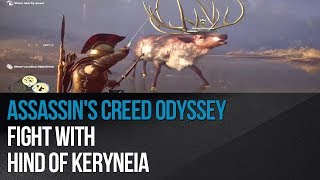 Assassins Creed Odyssey  Fight with Hind of Keryneia [upl. by Laurianne]