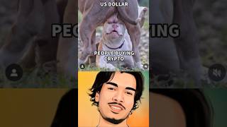 Dollar and Crypto memes [upl. by Alya]