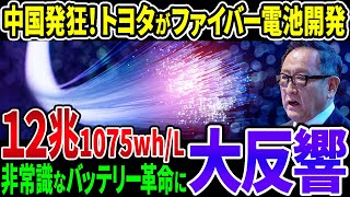 【神レベル】トヨタがヤバすぎる！常識を破る新型「ファイバー電池」を開発【その他１本】 [upl. by Ponzo42]