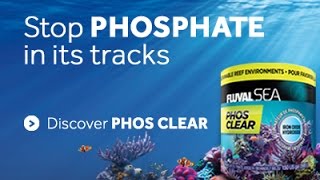 Fluval SEA Phos Clear  High Performance Phosphate Remover [upl. by Ahasuerus]