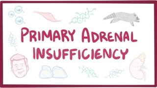 Primary adrenal insufficiency Addisons disease  pathology symptoms diagnosis treatment [upl. by Nob]