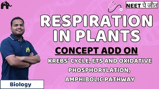 Respiration in Plants Class 11 NEET Concept Aerobic respiration Amphibolic Pathway RQ  Biology [upl. by Nylitsirk]