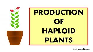 Production of male and female haploid plants  Anther Pollen Ovary and Ovule culture [upl. by Kermit]