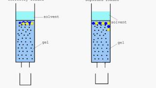 Column Chromatography animation YouTube [upl. by Tnomel]