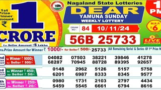 NAGALAND DEAR LOTTERY SAMBAD Morning 1 PM RESULT TODAY 10112024 [upl. by Consolata722]