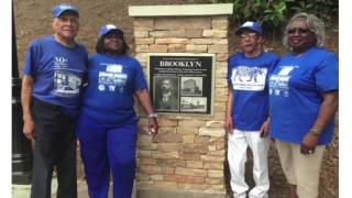 Brooklyn Village Community Engagement [upl. by Afatsuom]