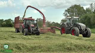 Worlds Biggest Trailed Forager JF Stoll FCT 1460 Forager 🚜💪 [upl. by Knorring855]