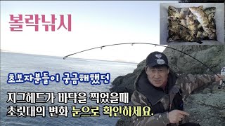 볼락루어낚시 지그헤드가 언제 바닥을 찍었을까  초보자분들 참고영상 [upl. by Kimmel]